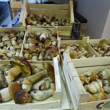 Konukevi Rifugio Col De Varda